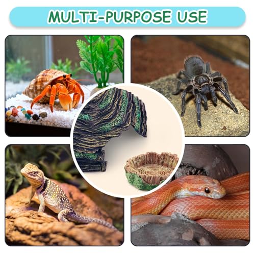 Hermit Crab Accessories Kit 5 PCS, Exclusive Hiding House + Food/Water Bowl + 3 Artificial Plants, Naturalistic Terrarium Decor for Hermit Crabs (Not for Large Reptiles)