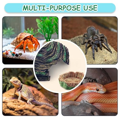 Hermit Crab Accessories Kit 5 PCS, Exclusive Hiding House + Food/Water Bowl + 3 Artificial Plants, Naturalistic Terrarium Decor for Hermit Crabs (Not for Large Reptiles)