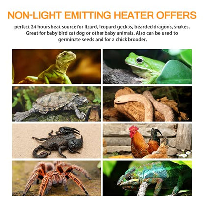 Simple Deluxe 100W Ceramic Heat Lamp Reptile Heat Emitter Heater Lamp Bulb No Light with Free Digital-Thermometer, for Pet Brooder Coop Chicken, Turtle Lizard Snake Aquarium Tank, White - size: 1-Pack+Thermometer, style: White