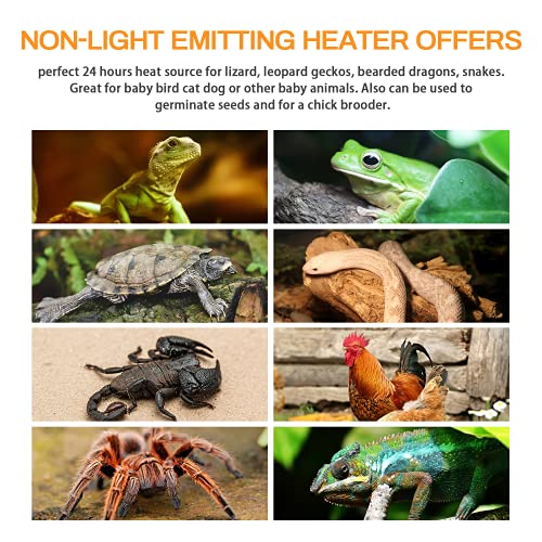 Simple Deluxe Ceramic Heat Emitter 100W 6-Pack Reptile Heat Lamp Bulb No Light Emitting Brooder Coop Heater for Amphibian Pet Snake Turtle & Incubating Chicken, No Harm, Color White - size: 6 Pack, style: White