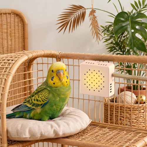 Bird Warmer for Cage - Reptile Enclosure Warmer, Constant Temperature Heater with Rapid Heating Element, Bird Cage, Small Animal Heat Pad, Thermostatic Brooder Plate for Hamster Reptile