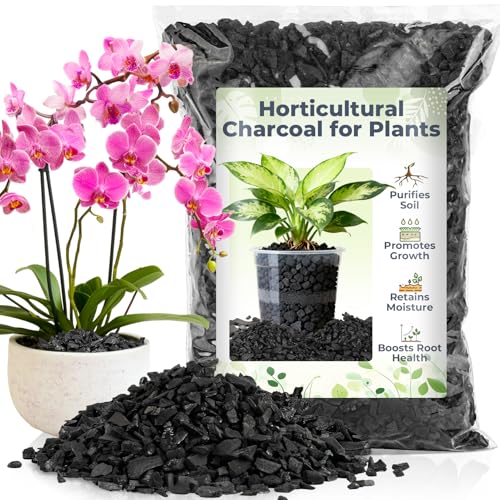 Sukh Horticultural Charcoal for Plants - 1Qt. Natural Earth Regulated Supplement for Potting Soil Indoor Plants, Organic Biochar, Succulent Soil, Paphiopedilum, Bonsai, Terrarium - size: 1Qt.