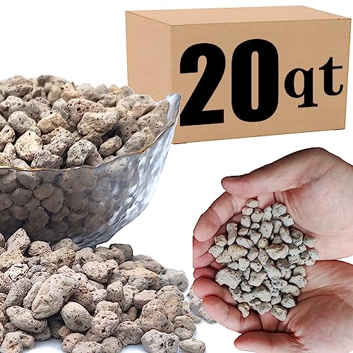 20QT Horticultural Pumice for Plants Professional Sifted - for Succulents, Cactus, Bonsai Plants - 3/8 inch (20QT) - color: 20QT, size: 3/8 inch