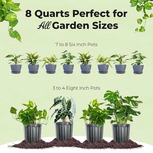 Organic Aroid Potting Mix by Perfect Plants | Chunky Gardening Medium for Tropical Indoor House Plants | Peat Free | Proper Drainage (8qt)