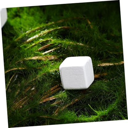 Kisangel 30pcs Natural Calcium Blocks for Turtles Tortoises Lizards Frogs Chameleons Enriches Water Quality Supports Bone Strength Enhances Resistance Mineral for Reptile Amphibian Health
