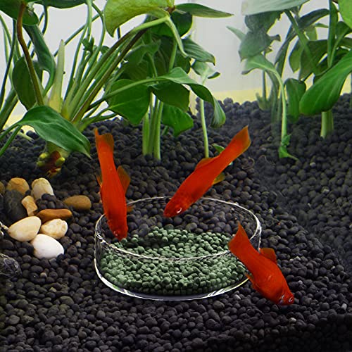 WEAVERBIRD 80mm Aquarium Shrimp Feeder Dish Glass Fish Tank Feeding Bowls Round Clear Dishes Tray - size: 80MM