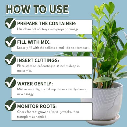 Planting Mix for Plant Propagation (4 Quarts), Hand Blended Soilless Mix for Propagating Plants, House Plants, and More - size: 4 Quarts