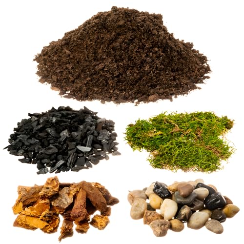 DIY Terrarium Kit for Succulents & Air Plants – Organic Soil Mix, Hoffman Charcoal, Orchid Bark, River Rocks & Preserved Moss – Terrarium Supplies Starter Kit for Fairy Gardens & Mini Terrariums