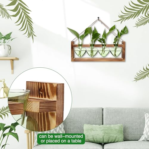 Plant Propagation Stations Heart Plant Terrarium Kit Gift for Women Plant Lover Glass Vases - color: Green