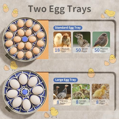 18 Egg Incubators for Hatching Eggs, 2 Egg Trays, Incubation Day Display, Automatic Egg Turning, Built-in Egg Candler, Auto Refill, Adjustable Air Vent, for Chicken, Quail, Duck, Turkey & Goose Eggs - size: 18 Eggs + 8 Goose Eggs