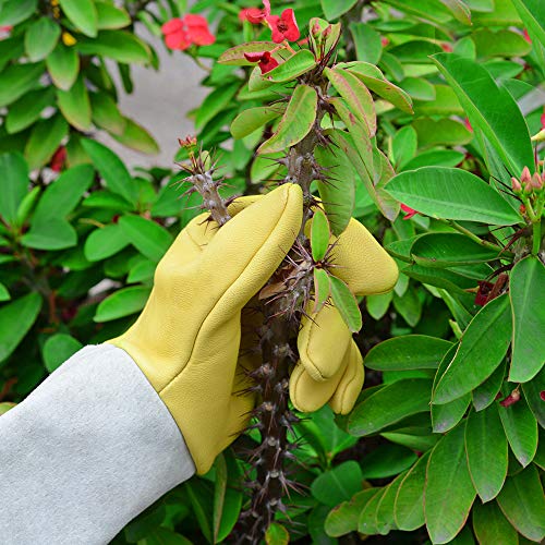 Gardening Gloves for Women/Men, Rose Pruning Thorn-Proof Long Leather Garden Gloves with Adjustable Cuff, Ladies Light Protective Glove for Yard & Outdoor Work - size: Medium (Pack of 1)