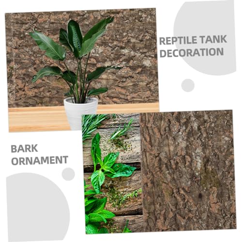 BESPORTBLE Cork Terrarium Background for Reptile Tanks Natural Bark Backdrop Decor Climbing Mat Safe Reusable Aesthetic Habitat for Chameleons Lizards and Other Reptiles