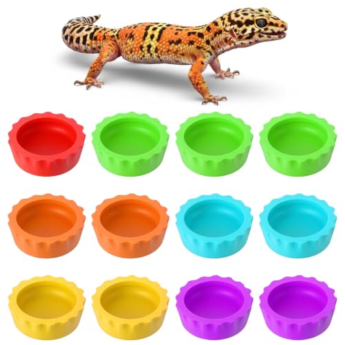 12 Pack Pangea Crested Gecko Food Dish, Reusable Small Reptile Feeding Dish, Water Bowl Gecko Tank Accessories for Hermit Crab Tarantula Isopods Snails Lizard(Silicone, 6 Colors)