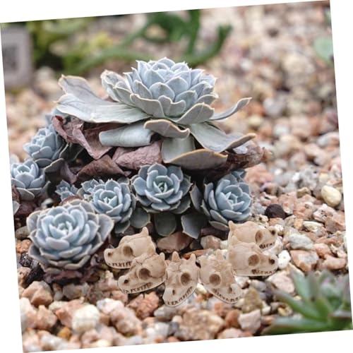 jojofuny 20pcs Resin Mini Dragon Skull Yard Ornaments for Outdoor Garden Lawn Decoration, Small Skull Figurines for Fish Tank and Terrarium, Dragon Head Resin Sculptures
