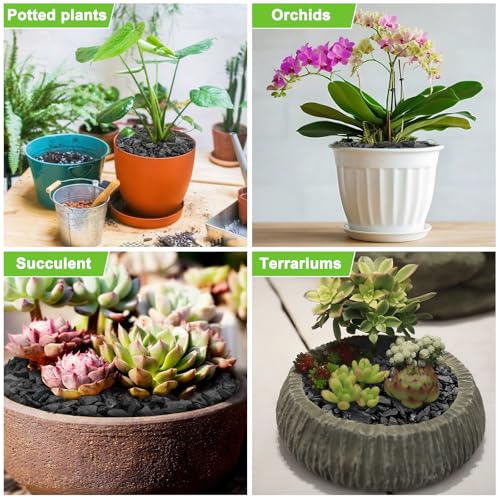3 Quarts Horticultural Charcoal for Plants-Plant Charcoal Soil Amendment for Potting Indoor Plants, Succulent, Paphiopedilum, Bonsai, Terrarium,and Gardening - size: 3 Quarts