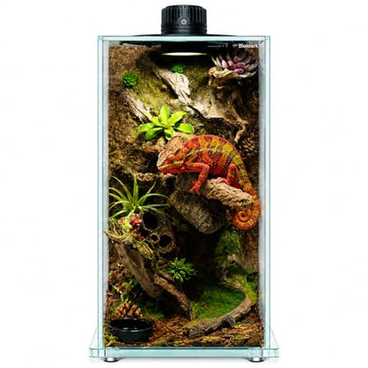 Bioloark BIO Bottle Glass Terrarium with LED Grow Light, Professional Moss Terrarium with Adjustable Ventilation, Low-Iron Glass for Moss, Succulents & Living Ecosystems, FD-200 (8.7" x 8.7" x 16.1") - color: FD-200 (8.7"X8.7"X16.1")