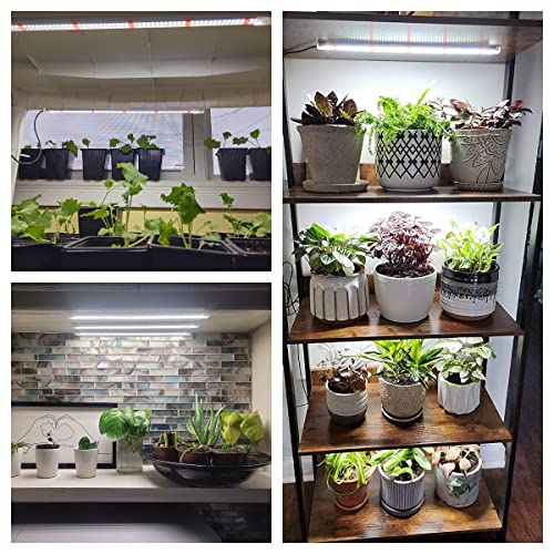Wiaxulay LED Grow Light Strips, 6000K Full Spectrum Sunlike Growing Lamp with 6/12/16H Timer, 5 Dimmable Levels for Hydroponics, Succulent, Plant Shelf, 2 Pack - color: 16in-2 Bars, size: 2 Pack