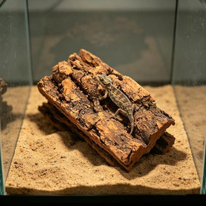 Natural Cork Bark Flats Habitat Simulation 10pcs for Reptile Tank Background and Terrarium Flooring Decor, Safe for Sensitive Species for Lizards and Geckos