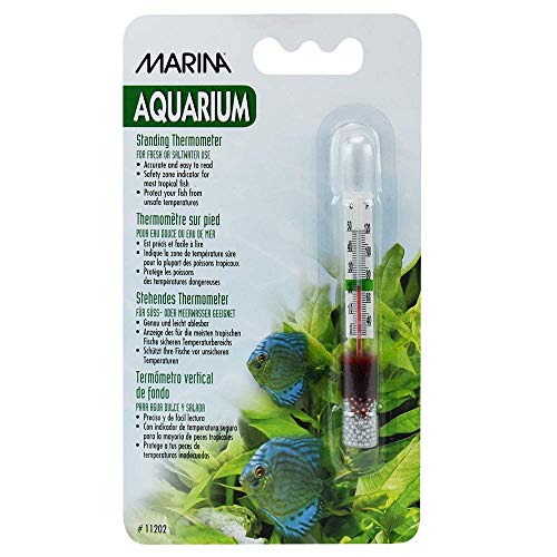 Marina Large Standing Thermometer - Provides Temperature in Fahrenheit and Celsius - size: No Size