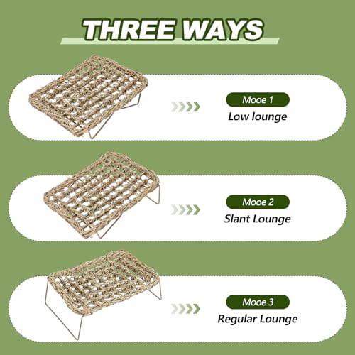 Soaoo 2 Pcs Bearded Dragon Hammock Lizard Reptile Tank with Metal Legs Collapsible Rectangle Bed Gecko Climbing Accessories for Habitats Small Animals Snake Iguana Amphibian Hermit Crab