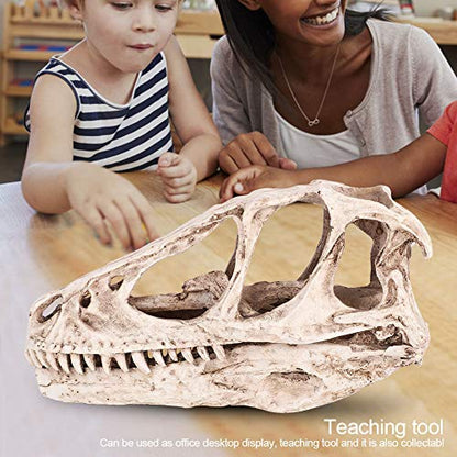 CHICIRIS Resin Dinosaur Skull, Detailed Skeleton Model Statue for Aquarium, Terrarium, Fish Tank Decor ¨C Perfect for Home, Office, Classroom or Aquarium Enthusiasts