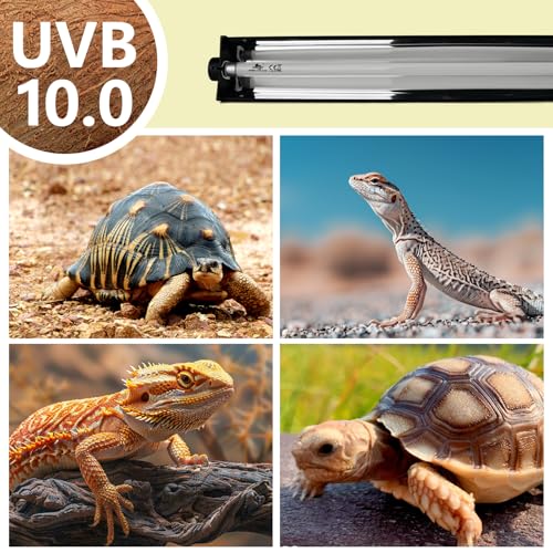 T5 UVB Lighting Combo Kit for Reptiles,8W Light Fixture with Desert 10.0 T5 UVB Light Bulbs Terrarium Hood Heat Lamp for Breaded Dragon,Turtle,Frog,Lizard,Tortoise,Gecko,Snake