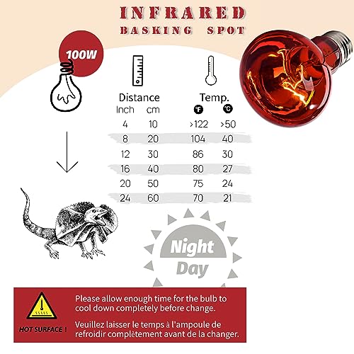 Dual Dome and Infrared Basking Light, Reptile Light Fixture and Red Heat Lamp Bulb for Reptiles Bearded Dragon Lizard
