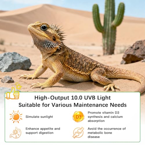 T8 UVB Reptile Light Fixture HO UVB Bulb Lighting Combo Kit, 10.0 UVB Light for Reptiles Terrarium Hood UVA UVB Desert Lamp for Bearded Dragon Turtle Tank (T8 20W 24Inch) - size: 24Inch