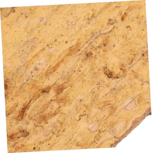 ORFOFE 4Pcs Natural Cork Bark for Reptile Tanks Terrarium Decor for Bearded Dragons Lizards and Aquatic Enclosures Enhances Habitat Aesthetics and Health