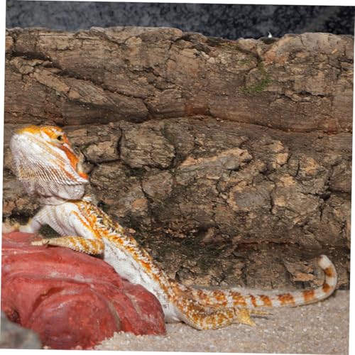 3pcs Bark Background for Reptile Terrariums Decor for Fish Tanks Comfortable Habitat for Snakes Lizards More