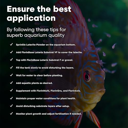 Brightwell Aquatics FlorinBase Laterite Powder – Iron-Rich Clay Substrate for Planted Aquariums – Enhances Root Growth, Plant Health – pH Neutral, 325g - size: 325 grams