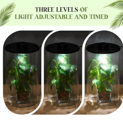 Maxdot Glass Plant Terrarium Kit with LED Grow Light, Desk Terrarium for Venus Fly Trap, Succulents, Moss & Miniature Garden, Borosilicate Glass Desktop Planter for Home Office(9.8 x 5.9 Inch) - size: 9.8 x 5.9 Inch