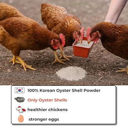 | Oyster Shell Flour 1lb – Finely Ground Calcium Material for Chickens, Ducks, Birds, Reptiles, Amphibians, and More – Crushed Oyster Shell Alternative | 굴껍질가루 (1lb)