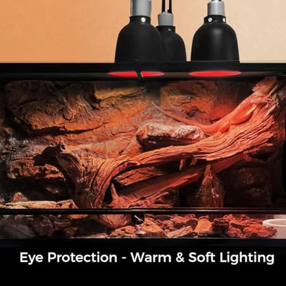100W Reptile Heat Lamp Bulb, Day & Night Basking Spot Light Combo Pack Includes Infrared Heat Lamp and UVA Daylight Heating Lamp Basking Light for Lizards, Turtles, Chicken，Bearded Dragons - style: Day & Night Heat Lamp 100W