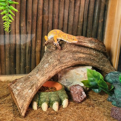 Tfwadmx Reptile Branches, Natural Reptile Corner Climbing Branch, Snake Climbing Branch Chameleon Cage Accessories Terrarium Plant Decoration for Gecko Snake Bearded Dragon (13 Inch)