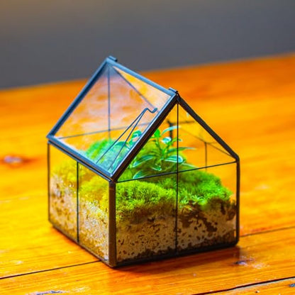NCYP Mini Glass Terrarium with Lid - 4.25" x 4.25" x 4.92" House Shape Close Geometric Planter Pot for Mini Succulents Plant, Moss - Handmade, Home Garden Office Decor, Black (Terrarium Only) - size: 4.25x4.25x4.92 inches