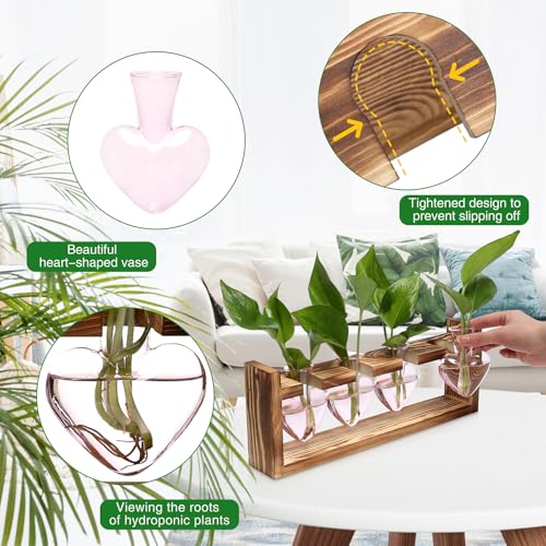 Heart Plant Terrarium Kit Gift for Women Plant Lover Glass Vases - color: Pink