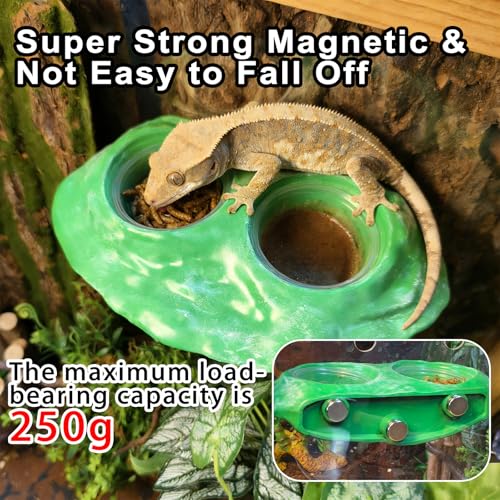Tfwadmx Magnetic Reptile Feeder Ledge, Gecko Feeder Ledge with 4 Cups Reptile Feeding Bowl Terrarium Accessories for Geckos Lizards Chameleons Frog (Green) - color: Green