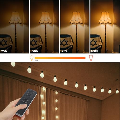 Outdoor Dimmer for String Lights,Plug-in Dimmer Switch 100FT Remote Control & Timer (2H/4H/6H/8H),Waterproof Light Dimmer for Outdoor & Indoor Use,Compatible with Dimmable LED/Tungsten/Patio Lights