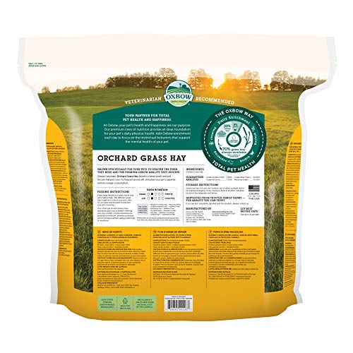 Oxbow Orchard Grass Hay for Small Pets – All-Natural Long Strand Fiber Hay for Rabbits,Guinea Pigs,Chinchillas,and Hamsters – Supports Digestive Health and Enrichment-– 40 oz Bag,(Pack of 2) - size: 40 Ounce (Pack of 2)