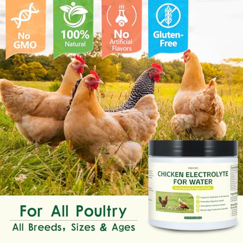 Chicken Electrolytes, Vitamins & Probiotics – Poultry Supplement for Hydration, Immunity & Gut Health – for Chickens, Ducks, Turkeys – 8.8oz Powder – All Ages Formula