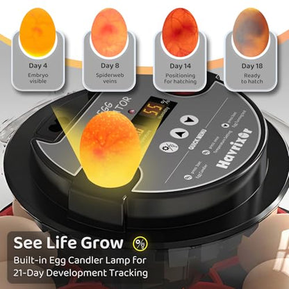 12 Egg Incubator for Hatching Eggs with Fully Automatic Egg Turning, Humidity Control by Bottles, Incubators for Chicken, Ducks, Quail, and Other Poultry Eggs, 360° View with Clear Window