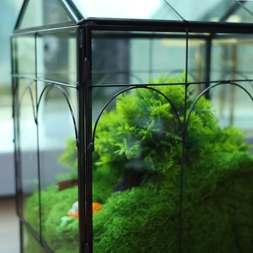 HighFree Geometric Plant Terrarium with Lid, House Succulent Terrarium Kit for Succulents Cacti Snail, Home Tabletop Miniature Terrarium (Black with Side Door) - color: Black With Side Door
