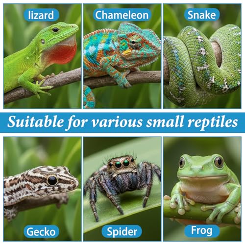 9pcs Crested Gecko Food Dish 1.26inch Silicone Geckos Feeding Cups and Spoons Set Colorful Food and Water Bowl Gecko Tank Accessories for Crested Geckos Hermit Crabtortoise Tarantula Lizard
