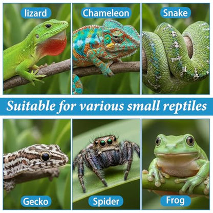 9pcs Crested Gecko Food Dish 1.26inch Silicone Geckos Feeding Cups and Spoons Set Colorful Food and Water Bowl Gecko Tank Accessories for Crested Geckos Hermit Crabtortoise Tarantula Lizard