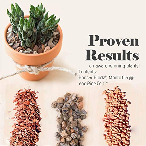 Bonsai Jack Succulent, Cactus and Bonsai Soil - Jacks Gritty Mix - 12 Gallons – Fast Draining – Fight Root Rot – Optimized pH - size: 12 Gallon (48 Dry Quarts)