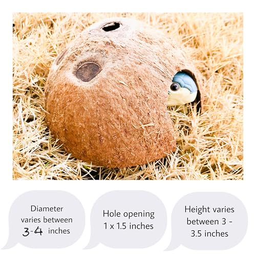 Hexagrowth Coconut Hideouts, Betta Fish, Shrimp, Small Hermit Hide, Reptile Natural Cave, Aquarium, Decor, 1 Pack