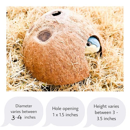 Hexagrowth Coconut Hideouts, Betta Fish, Shrimp, Small Hermit Hide, Reptile Natural Cave, Aquarium, Decor, 1 Pack
