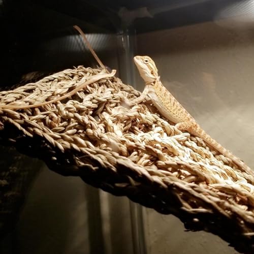 2 Pieces Bearded Dragon Hammock Large Reptile Hammock, Lizard Hammock, Bearded Dragon Climbing Habitat Tank Accessories, Reptile Bridge for Chameleon Hermit Gecko Snakes - style: 1 Rectangle + 1 Square
