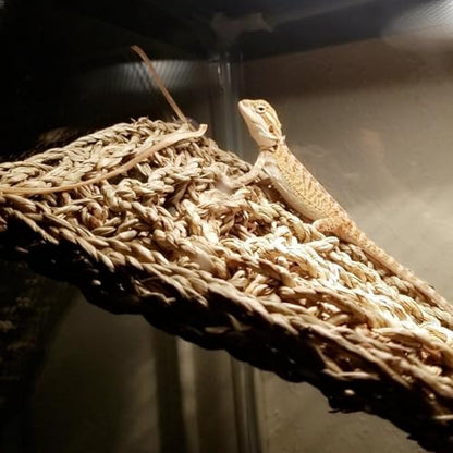 2 Pieces Bearded Dragon Hammock Large Reptile Hammock, Lizard Hammock, Bearded Dragon Climbing Habitat Tank Accessories, Reptile Bridge for Chameleon Hermit Gecko Snakes - style: 1 Rectangle + 1 Square